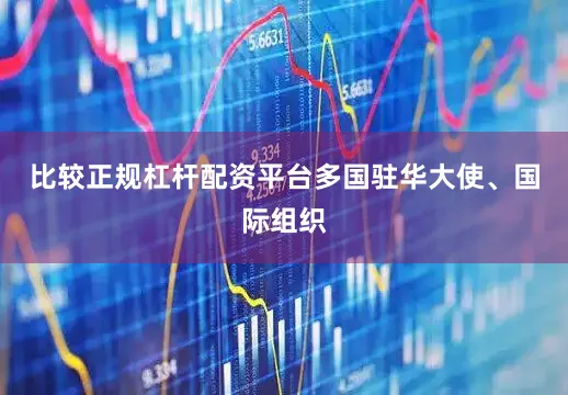 比较正规杠杆配资平台多国驻华大使、国际组织