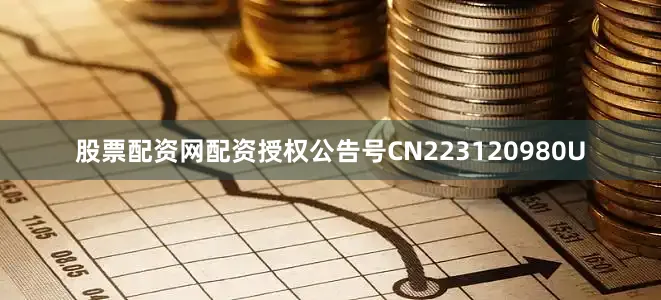 股票配资网配资授权公告号CN223120980U