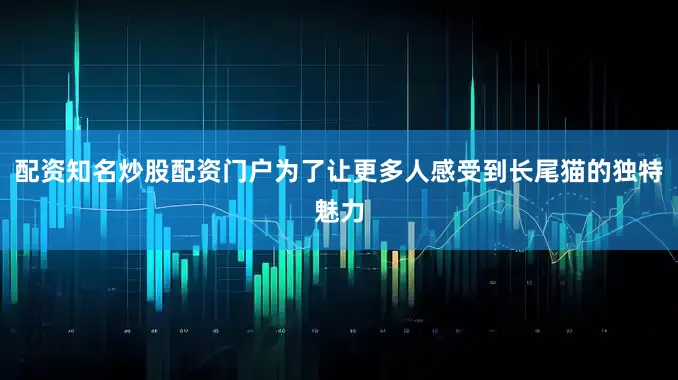 配资知名炒股配资门户为了让更多人感受到长尾猫的独特魅力