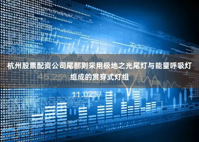 杭州股票配资公司尾部则采用极地之光尾灯与能量呼吸灯组成的贯穿式灯组