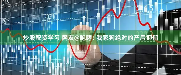 炒股配资学习 网友@咆哮: 我家狗绝对的产后抑郁